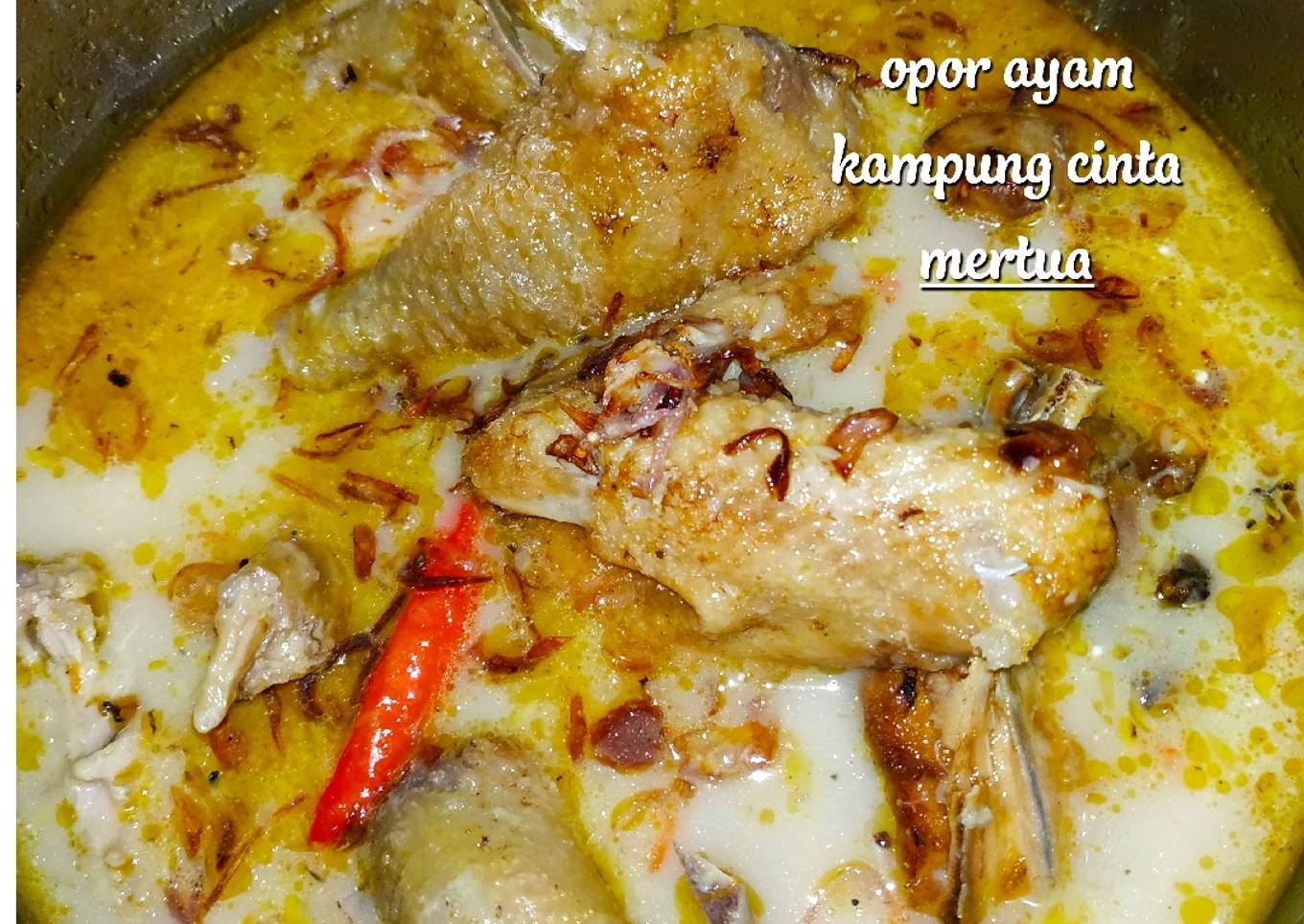 Opor ayam istimewa