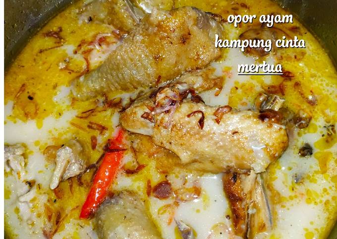 Opor ayam istimewa