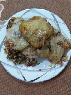 عکسی از دستور دلمه برگ کلم