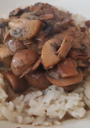 A picture of Mushroom Stroganoff.