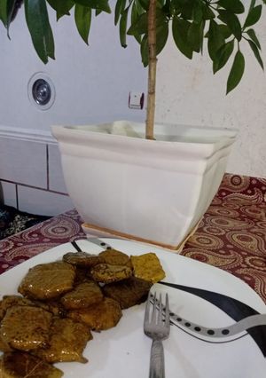 عکسی از دستور دلمه 😍