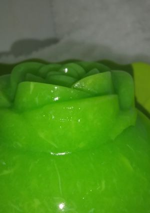 Foto resep Puding lumut no amis bebas bau anyir