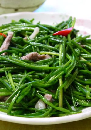 水蓮炒肉絲 的食譜成品照片
