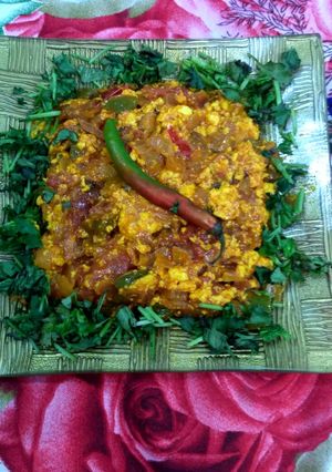 A picture of Paneer capsicum bhurji.