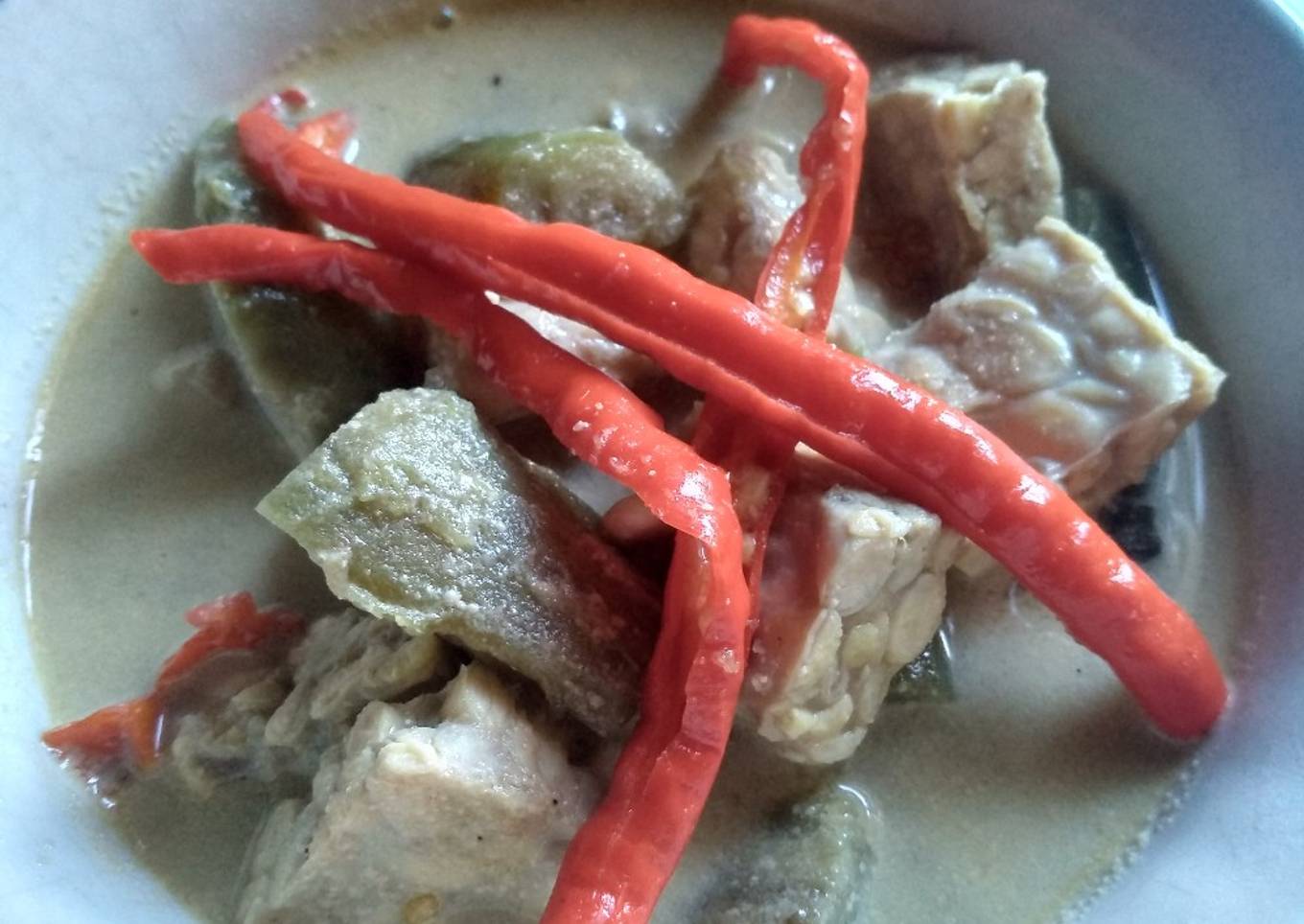 Lodeh T2 (Tempe Terong)