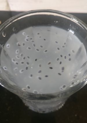 A picture of Lemonade with sabja or sweet basil seeds.