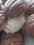 Conchas