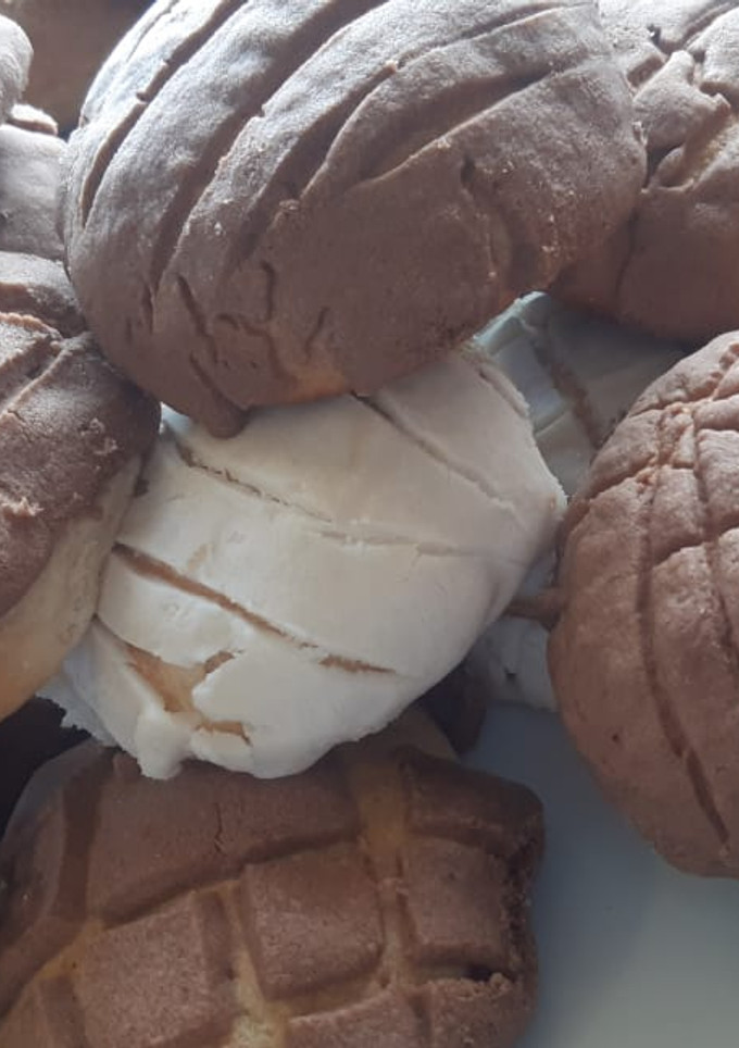 Una foto de Conchas