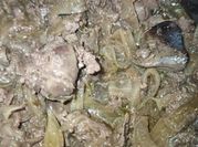 Una foto de higado pollo encebollado