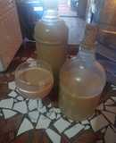 Cola de mono casero