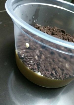 Foto resep Cheese Cake Lumer