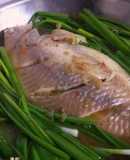 Cá điêu hồng chưng tương