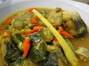 Gambar ikan baronang daun jeruk