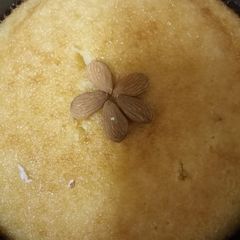 A picture of Coconut Cake.