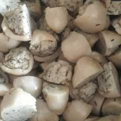 A picture of Fara.