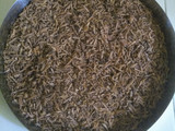 ગોટલી નો મુખવાસ (Gotli Mukhwas Recipe In Gujarati)