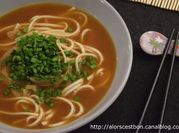 Une photo de curry japonais
