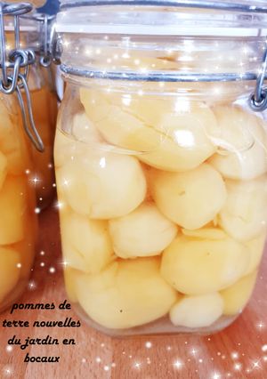Une photo de Pommes de terre nouvelles du jardin en bocaux pour cet hiver