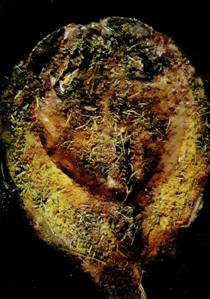 صورة لوصفة سمك مشوي مع رز شعرية
