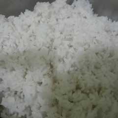 A picture of Nasi (metode Adang).