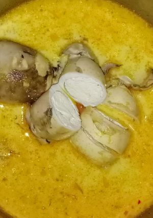 Foto resep Gulai cumi isi tahu