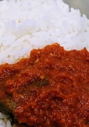 A picture of Boiled rice and stew.