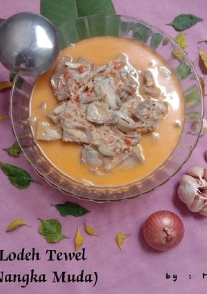 Foto resep Lodeh Tewel (Nangka Muda) daerah