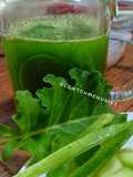 Jus hijau kale timun melon segar green juice