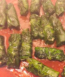 đà điểu lá lốt