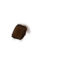 A picture of Brownie.