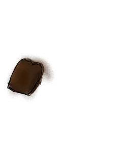 A picture of Brownie.