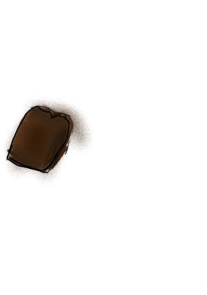A picture of Brownie.