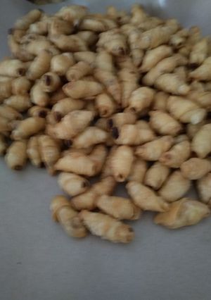 Foto resep Pompong kurma