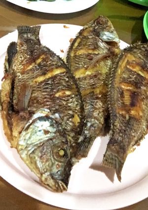 Foto resep Nila goreng bumbu kuning