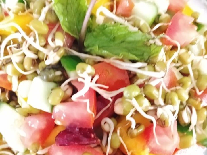 Easy Steps to Make Recipes Sprout Moong Salad the Delicious Perfect.