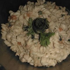 A picture of White sauce pasta.