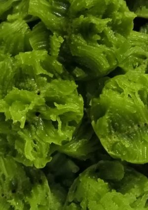 Foto resep Carabikang Mini resep turun temurun keluarga