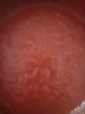 أفضل صوص للمعكرونة والأرز
