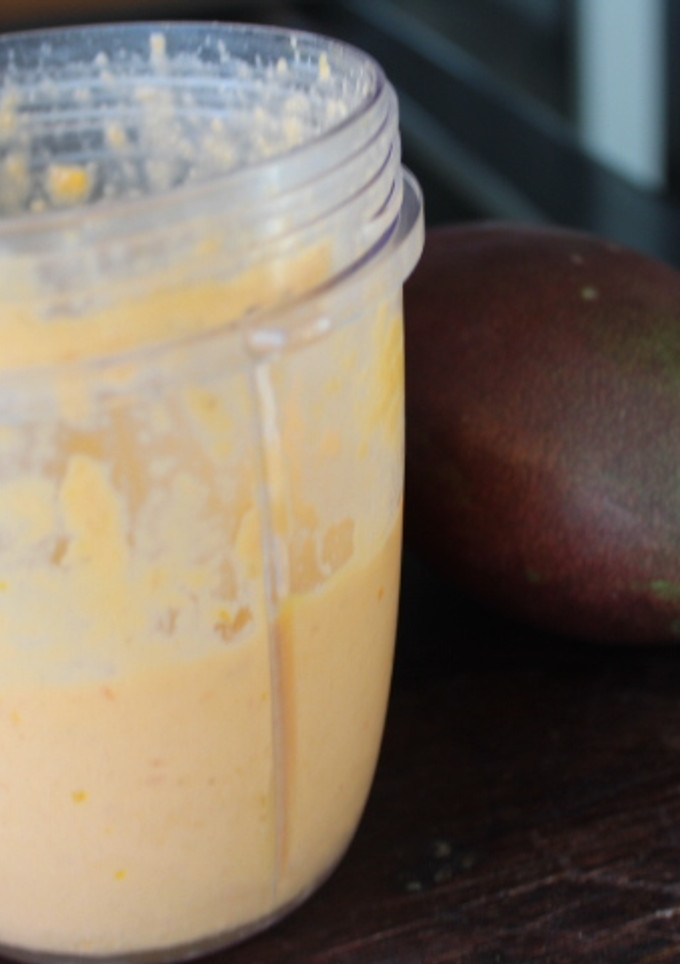 Una foto de Mayonesa de mango sin ajo