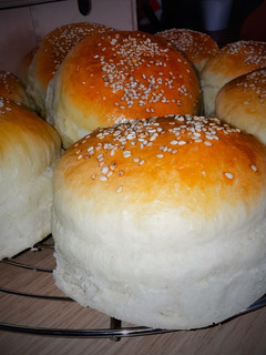 A picture of 🍔 Hamburger Buns 🍔.
