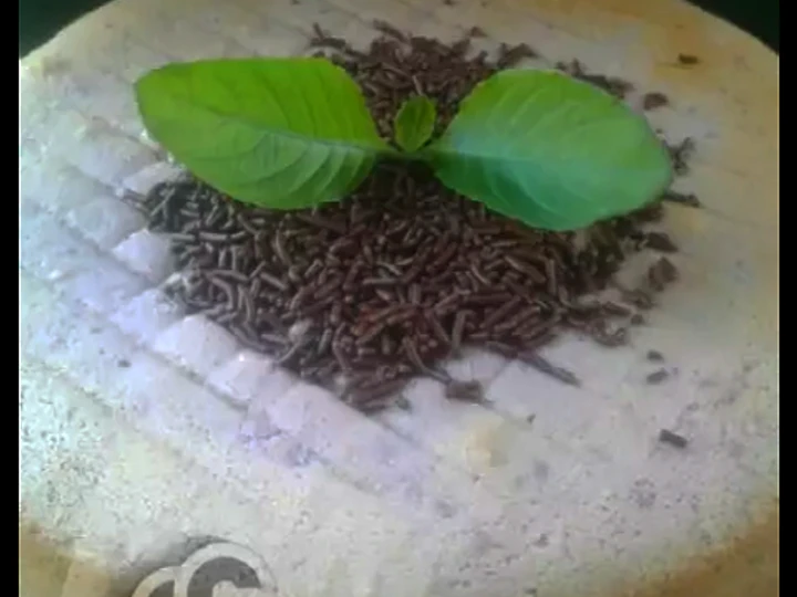 Langkah Gampang Membuat Resep Bolu ubi ungu yang Sempurna Anti Ribet, Bikin Ngiler