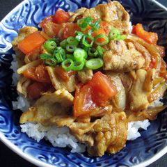 A picture of Curry Pork Don.