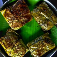 A picture of Ilish Paturi.