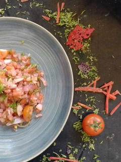 A picture of Salsa.