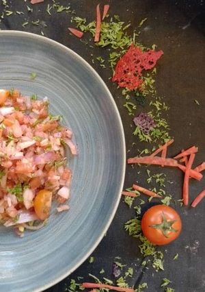 A picture of Salsa.