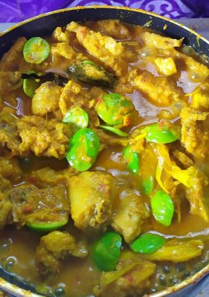 Foto resep Ayam palekko