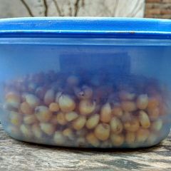 How to preserve Corn A picture of How to preserve Corn.