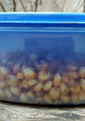 A picture of How to preserve Corn.