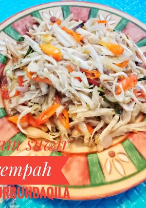 Foto resep Ayam suwir rempah