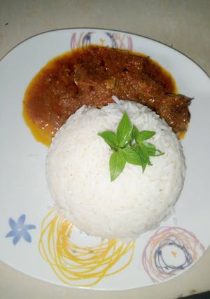 A picture of White rice and Turkey stew.